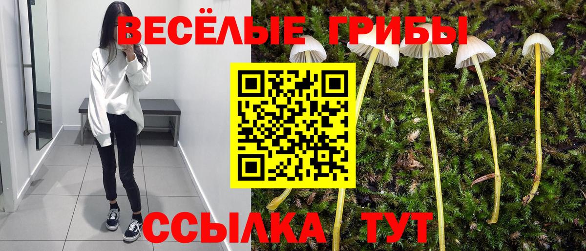 Псилоцибиновые грибы Psilocybe  Псилоцибиновые грибы Magic Shrooms  Вход с VPN  Новочебоксарск 